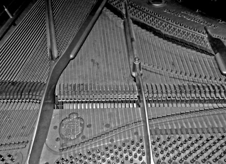 The strings of Conrad's parlor grand piano