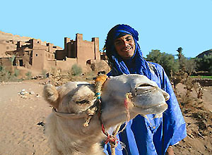Marokko, Berber mit Kamel