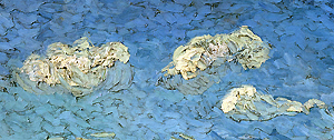 Vincent van Gogh, Les champs labourés (Les sillons, 1888, détail), Musée Van Gogh, Amsterdam