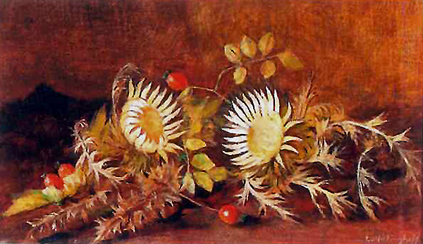 Two carline thistles with rose hips