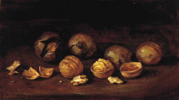 Frische Walnüsse