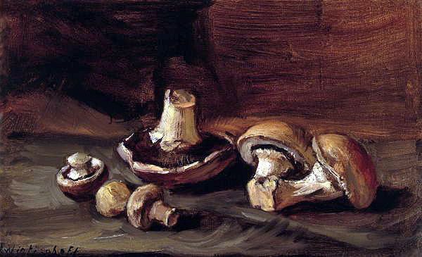 Champignons auf grauem Grund