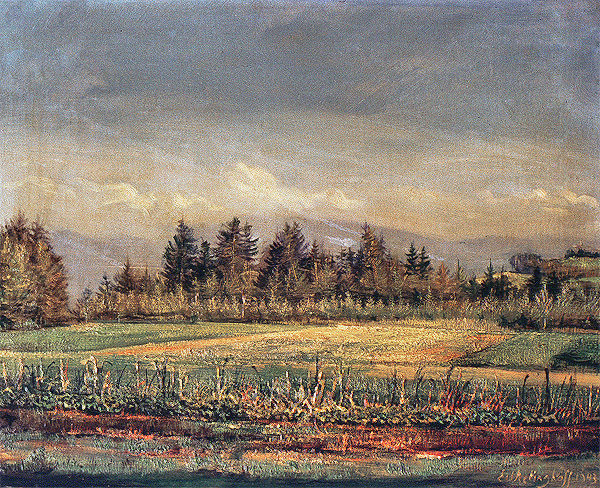 Landschaft bei Witikon (Zürich)